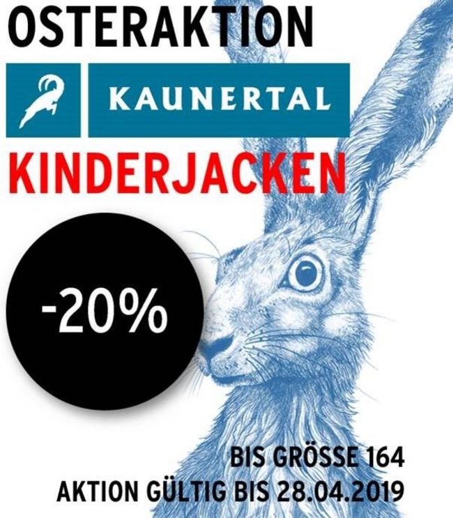Bild ohne Titel
